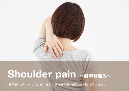 肩甲骨 ゴリゴリ